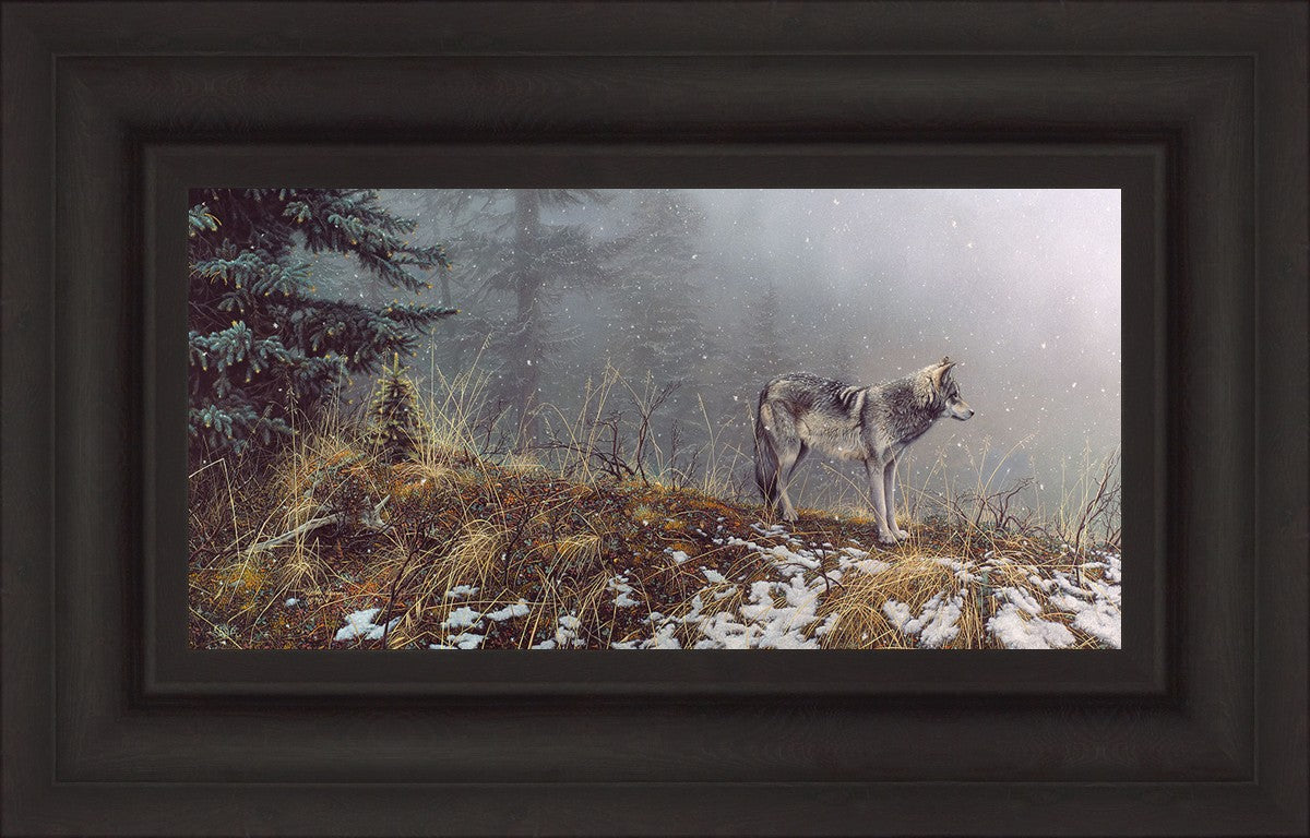 Silent Snows