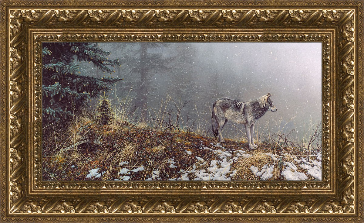 Silent Snows