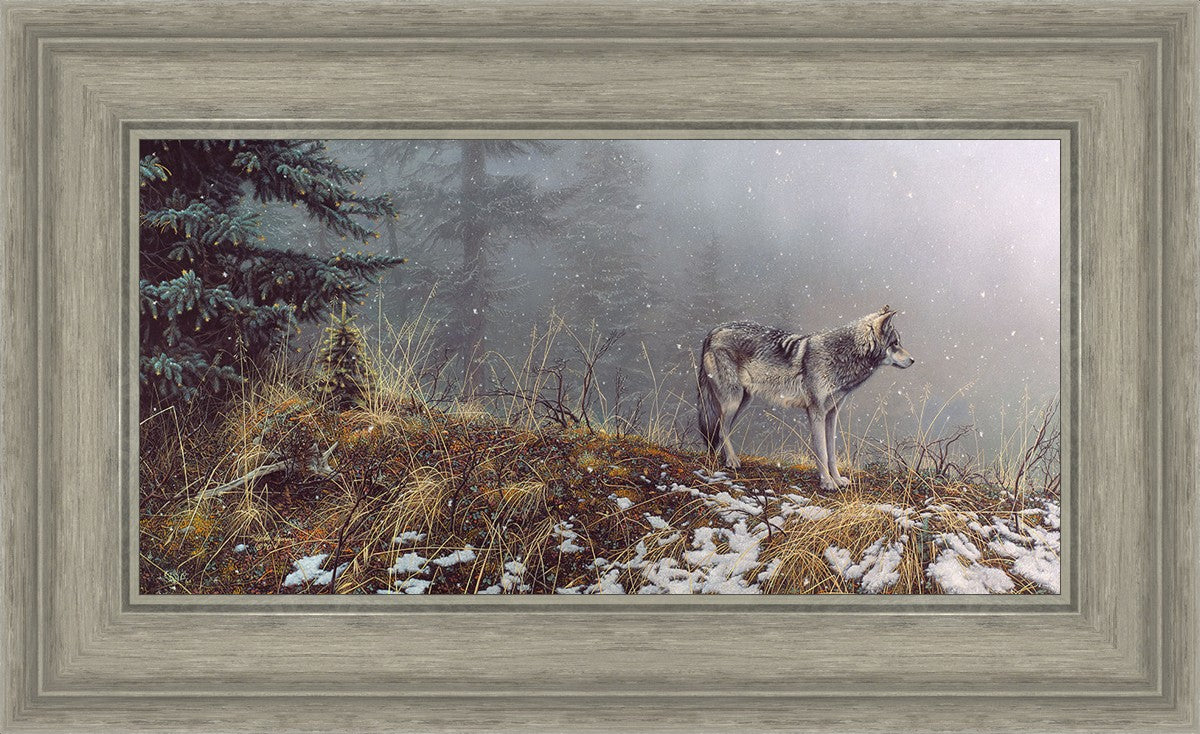 Silent Snows