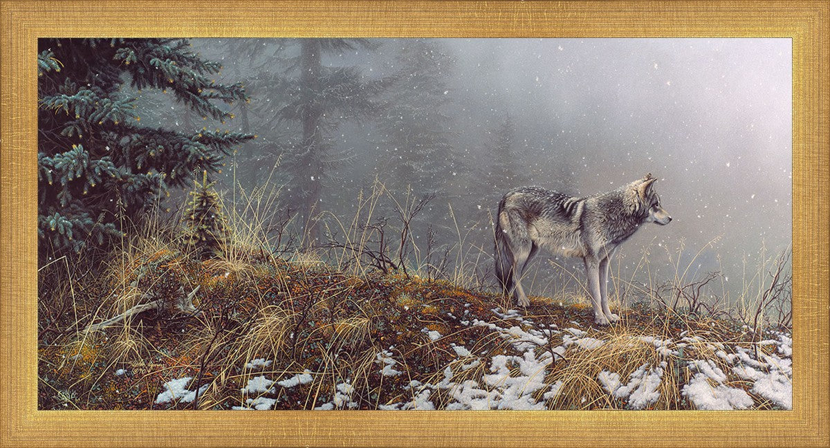 Silent Snows