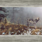 Silent Snows