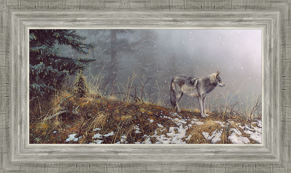 Silent Snows