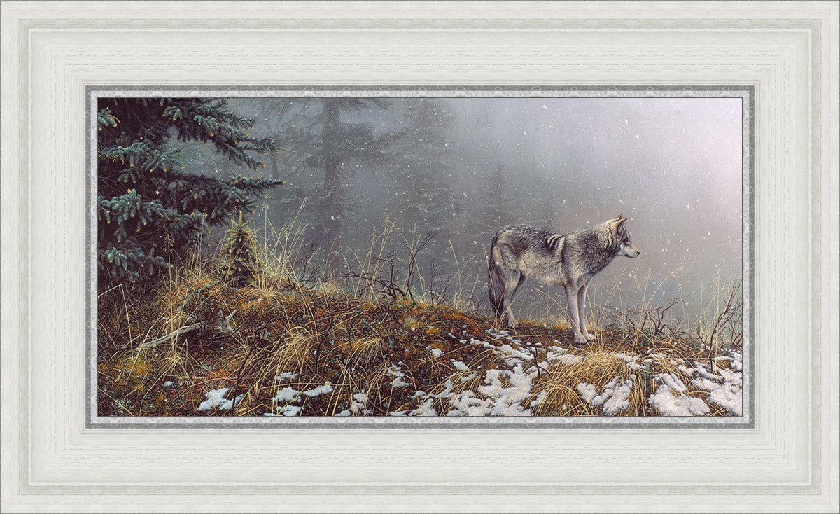 Silent Snows