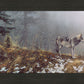 Silent Snows