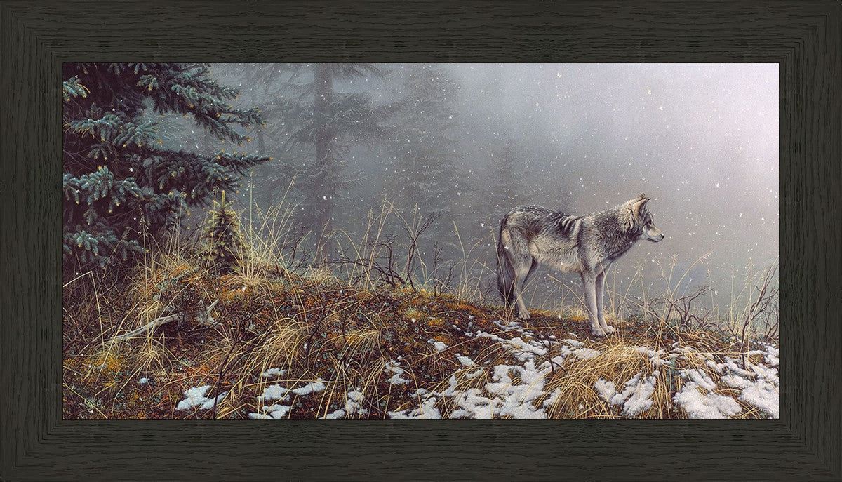 Silent Snows