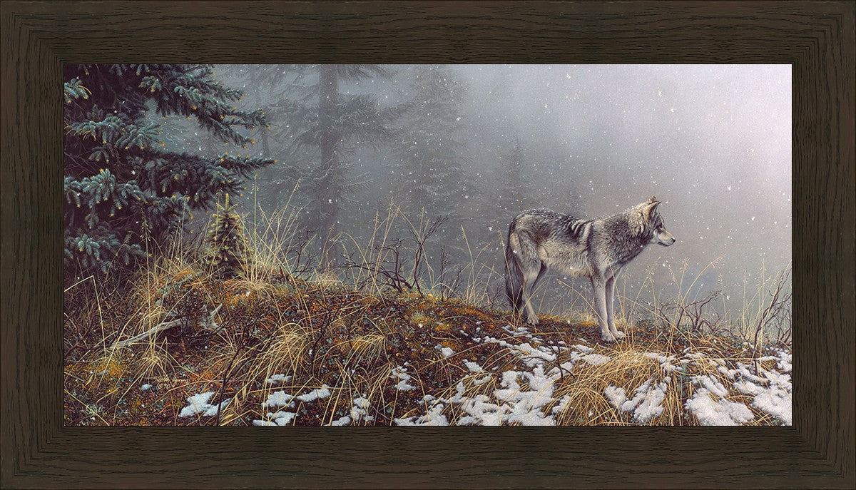 Silent Snows