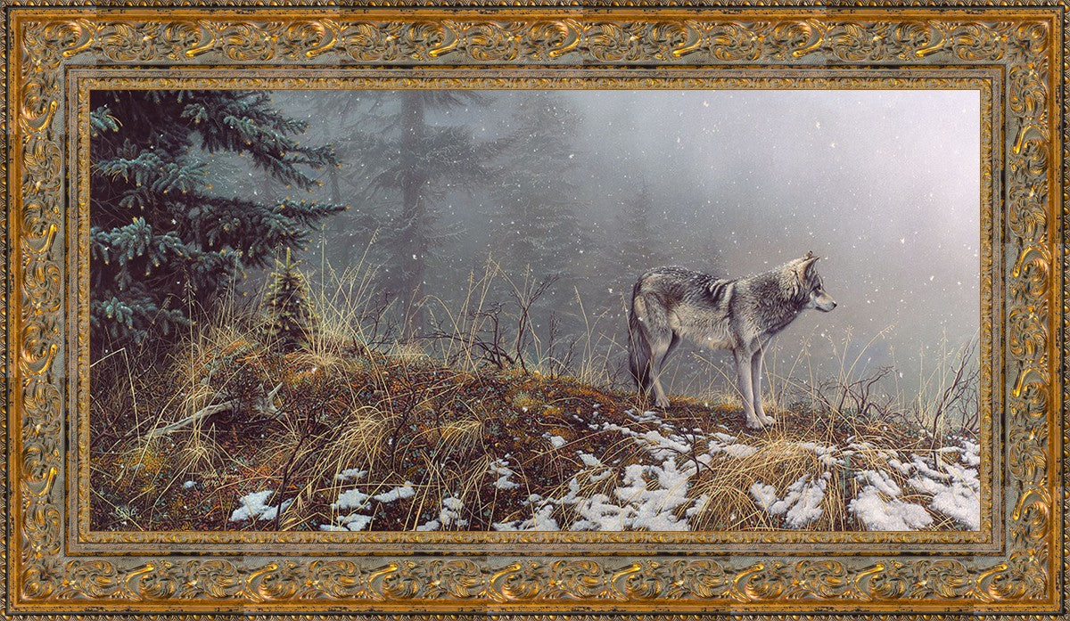 Silent Snows