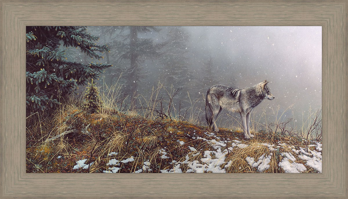 Silent Snows