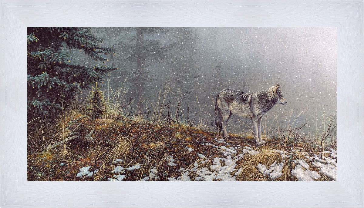 Silent Snows