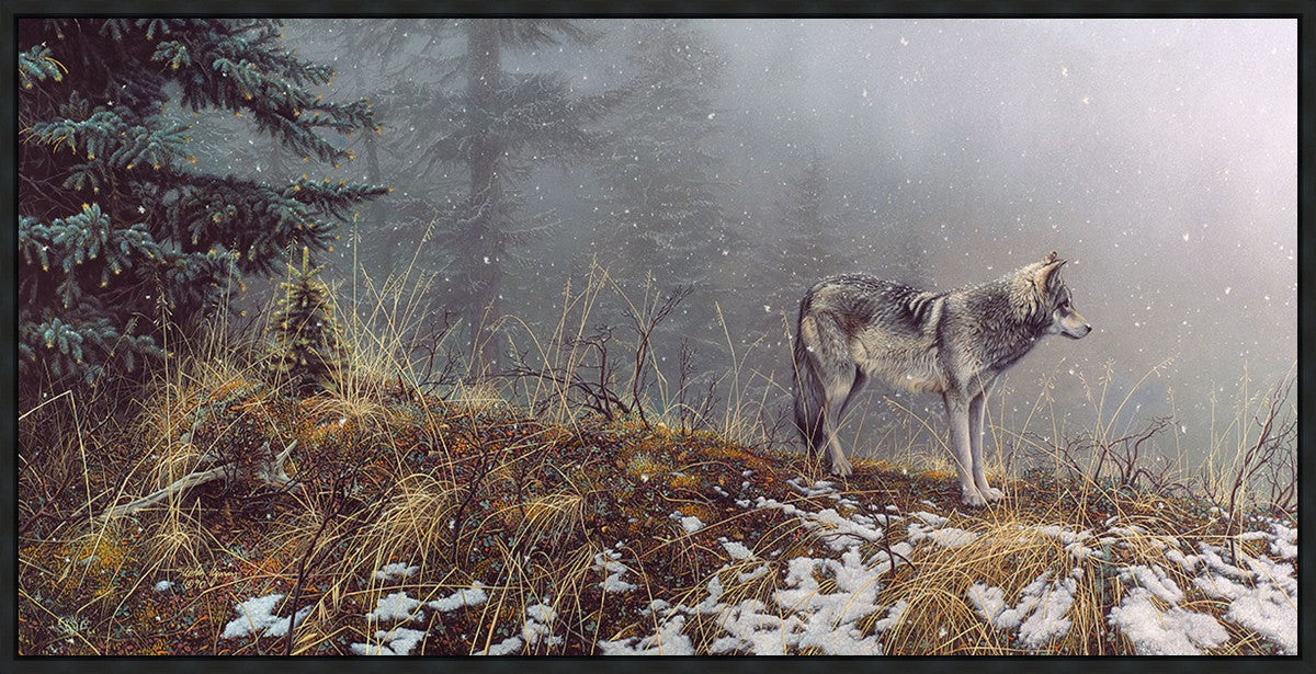 Silent Snows