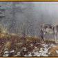 Silent Snows