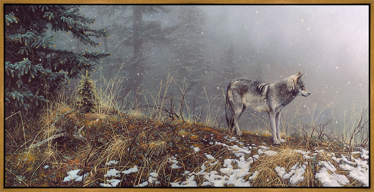 Silent Snows