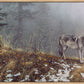 Silent Snows