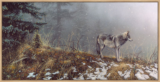 Silent Snows