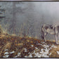 Silent Snows