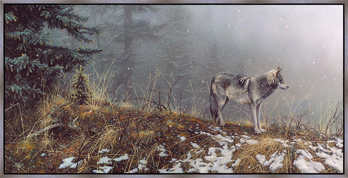 Silent Snows