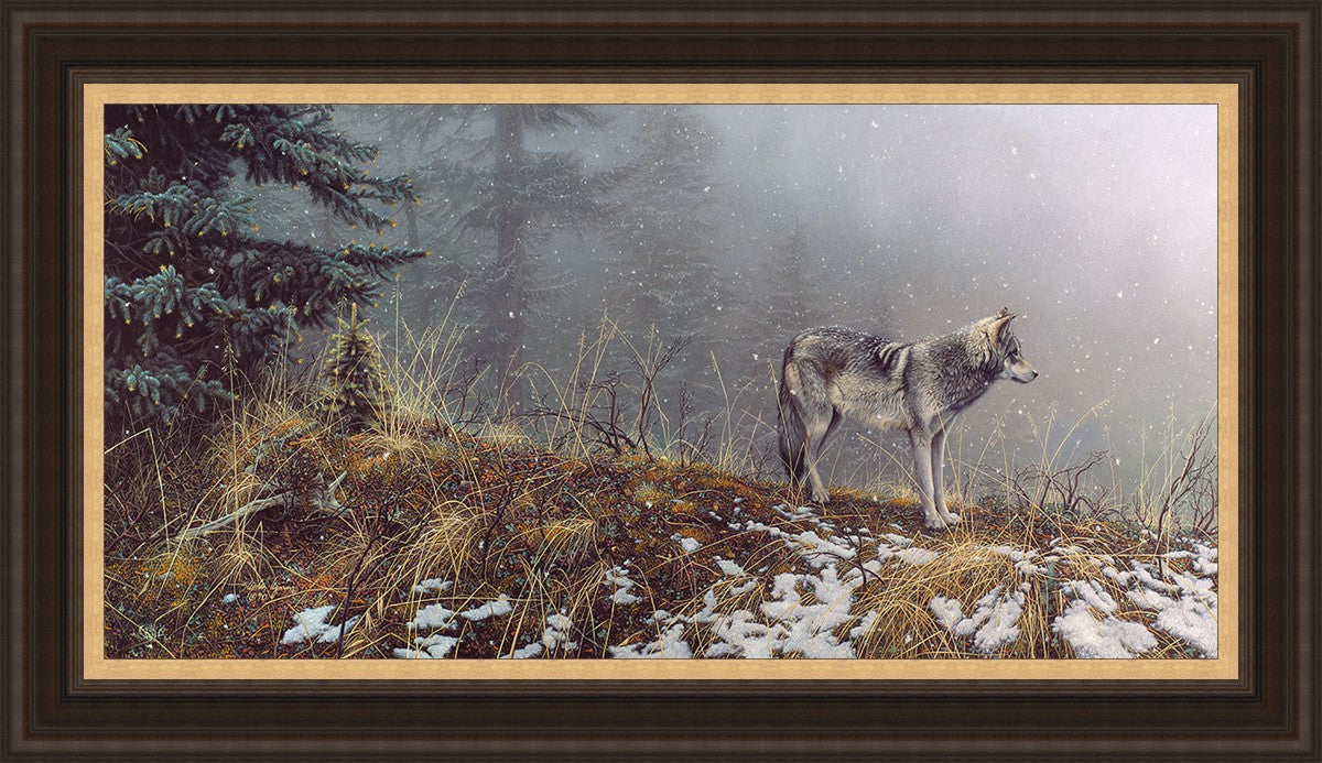 Silent Snows