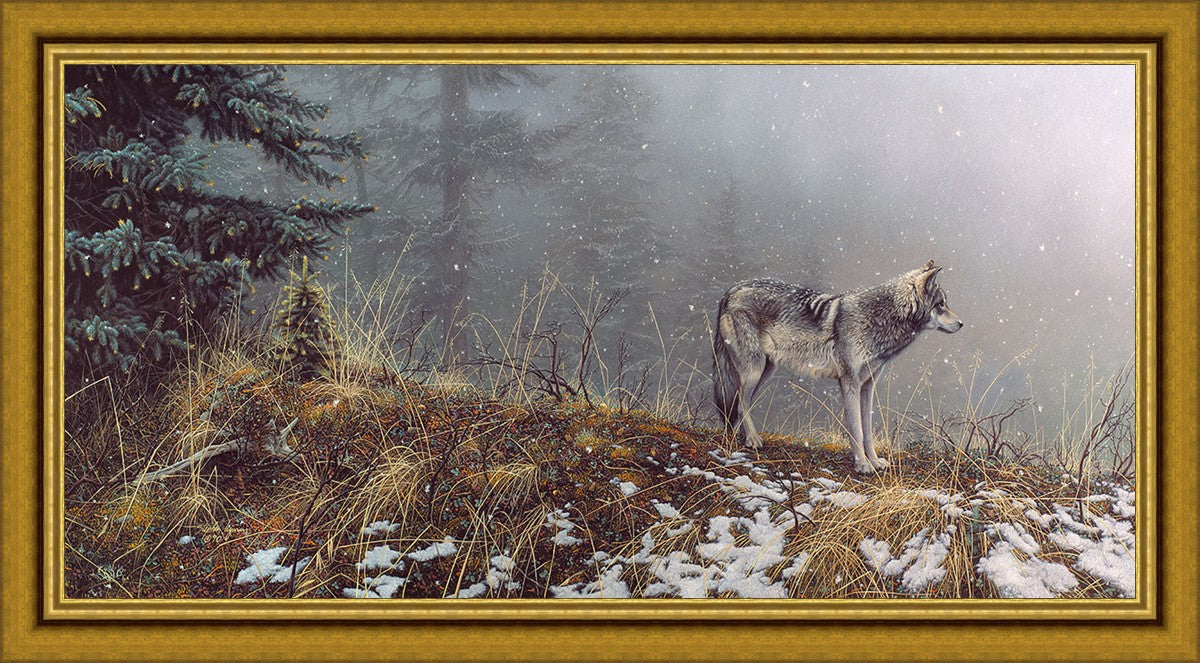 Silent Snows