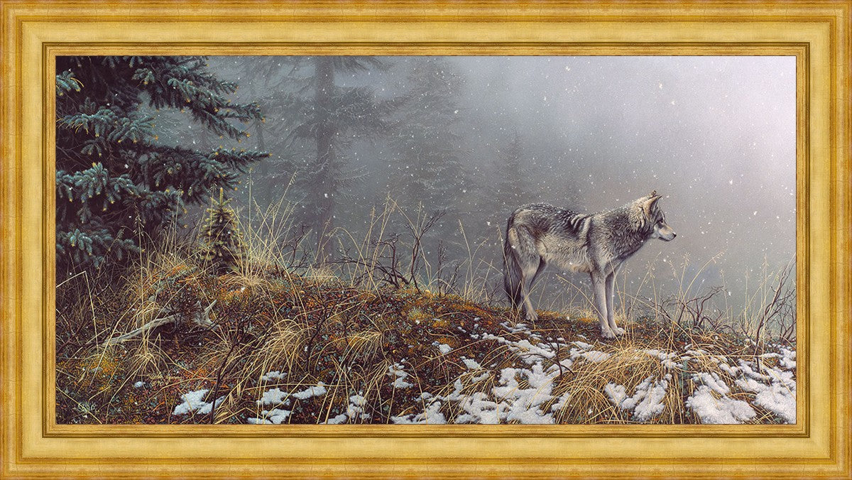Silent Snows