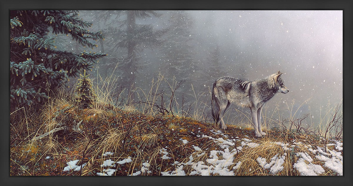 Silent Snows