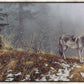 Silent Snows