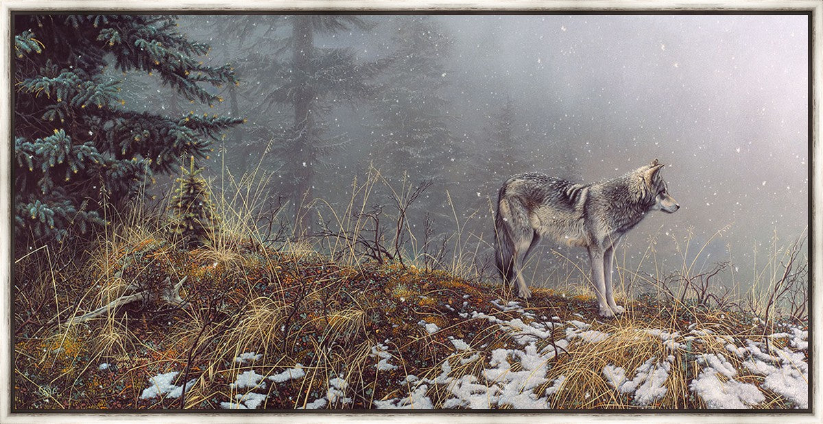 Silent Snows