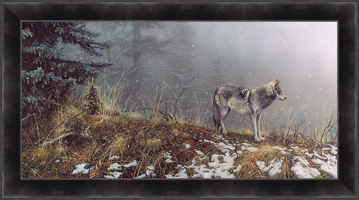 Silent Snows