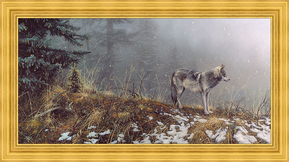 Silent Snows