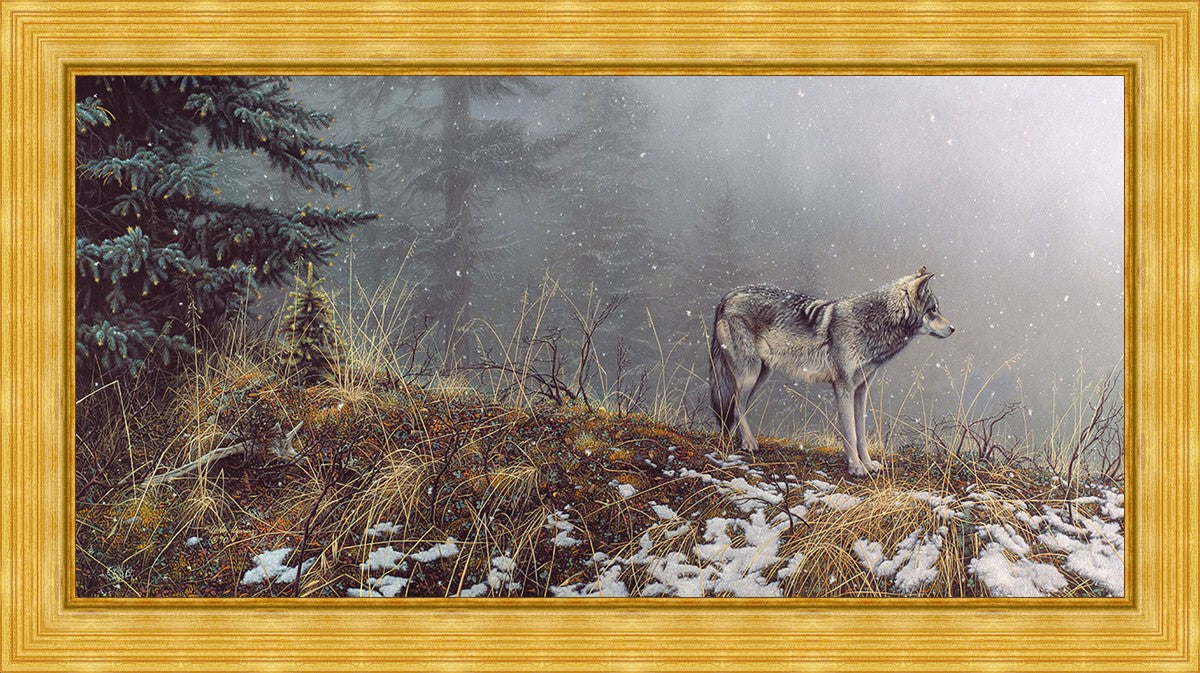 Silent Snows