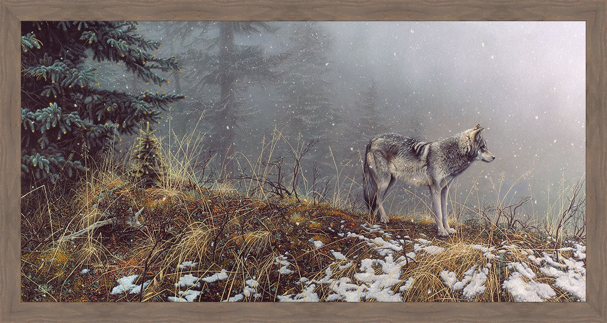 Silent Snows