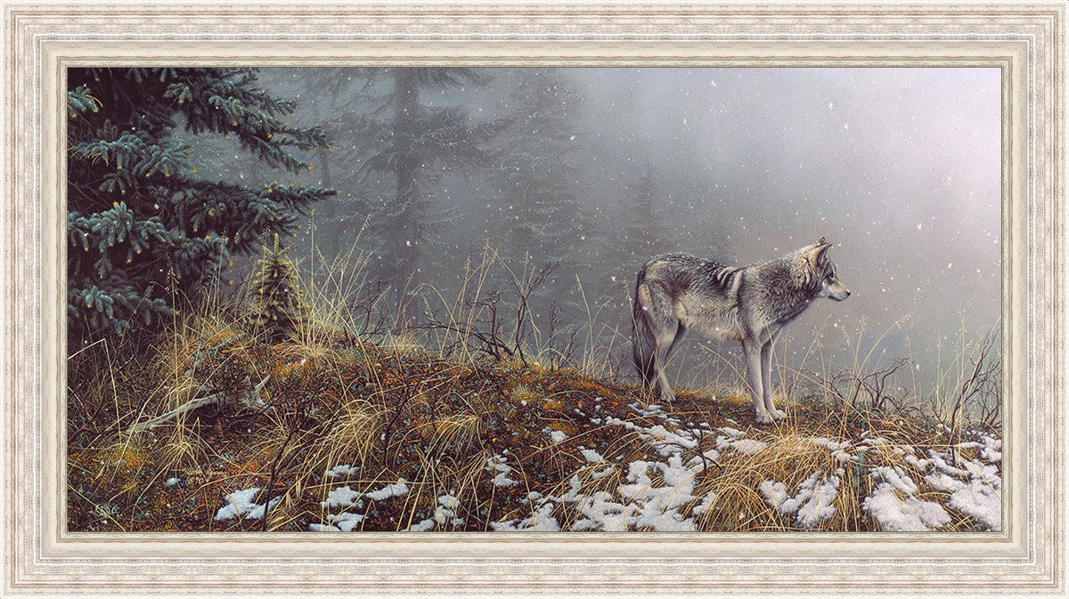 Silent Snows