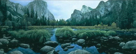 The Deep Grassy Valley