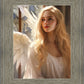 Angel of Elegance