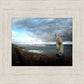 Alone Shepherd