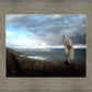 Alone Shepherd