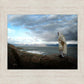 Alone Shepherd