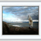 Alone Shepherd