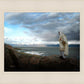 Alone Shepherd