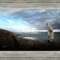Alone Shepherd