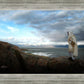 Alone Shepherd