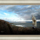Alone Shepherd