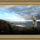 Alone Shepherd