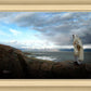 Alone Shepherd