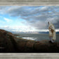Alone Shepherd