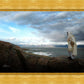 Alone Shepherd