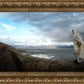 Alone Shepherd