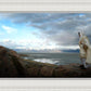 Alone Shepherd
