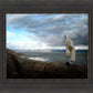 Alone Shepherd