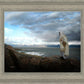 Alone Shepherd