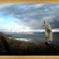 Alone Shepherd